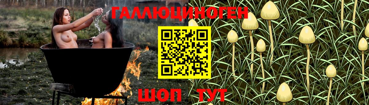 Артёмовский  Галлюциногенные грибы ЛСД  Вход с VPN 