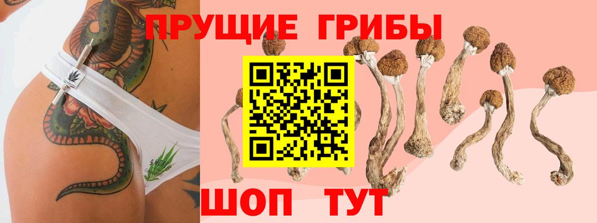 Псилоцибиновые грибы MAGIC MUSHROOMS Артёмовский